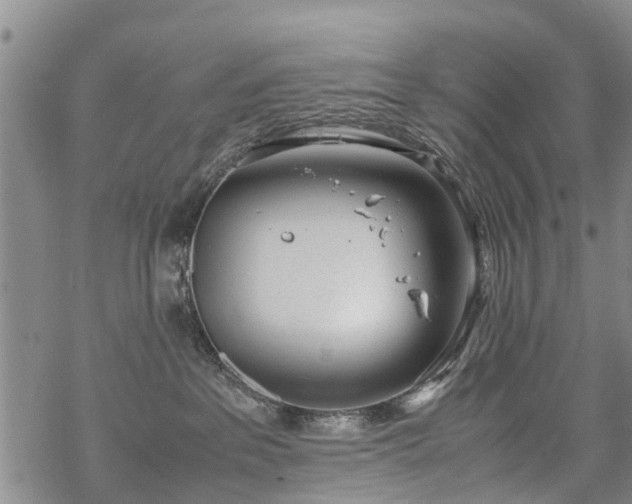 X0000069390237200605192222