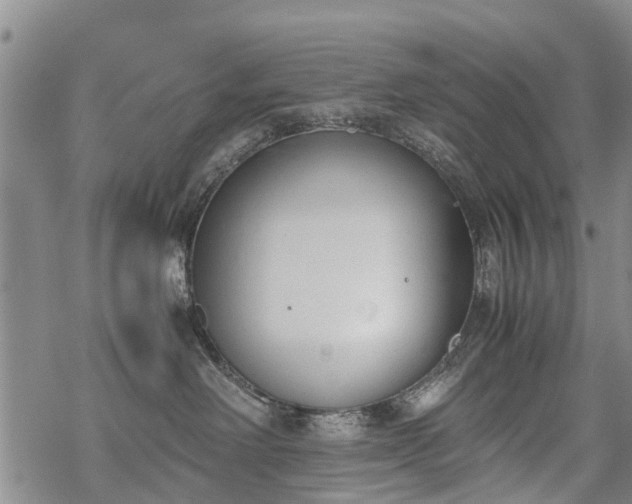 X0000069390238200605192222