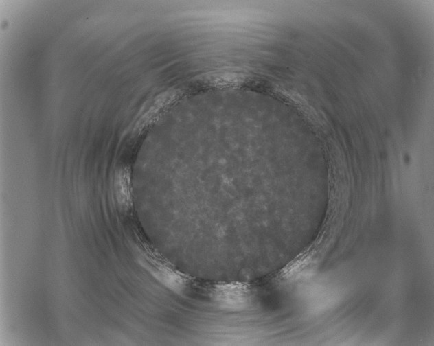 X0000069390240200605192221