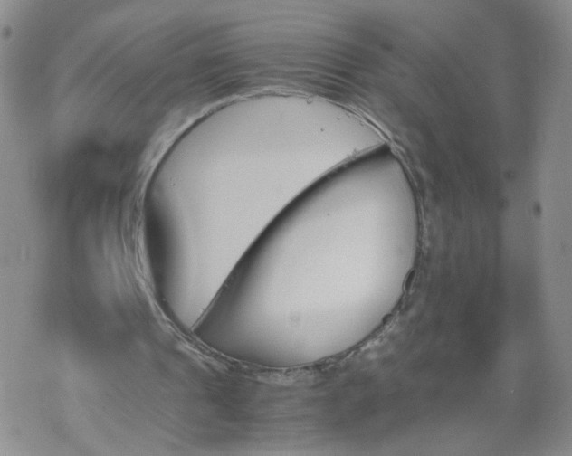 X0000069390241200605192221