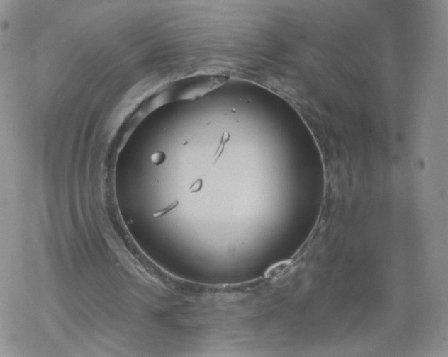 X0000069390242200605192221