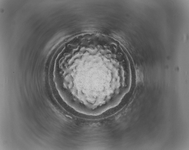 X0000069390243200605192221