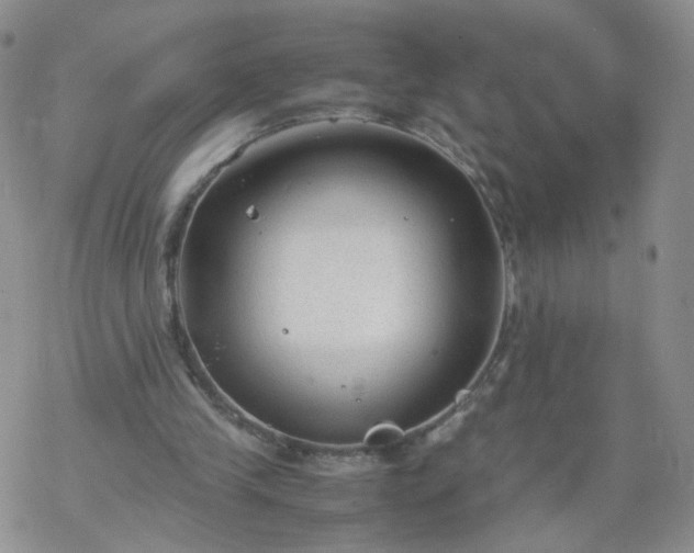 X0000069390245200605192221