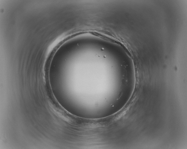 X0000069390246200605192221