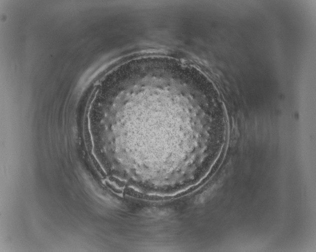 X0000069390247200605192221