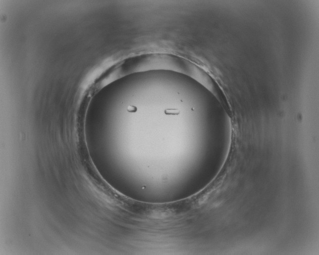 X0000069390248200605192221