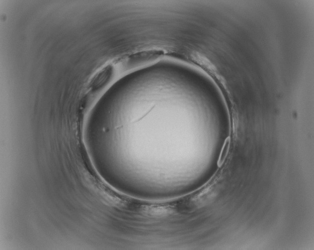 X0000069390249200605192221