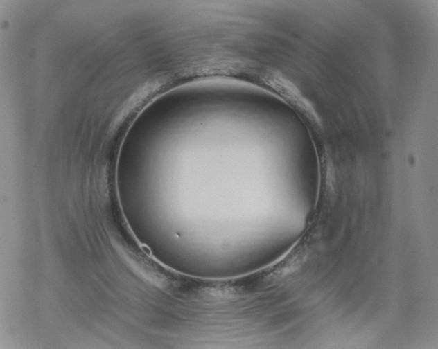 X0000069390250200605192221