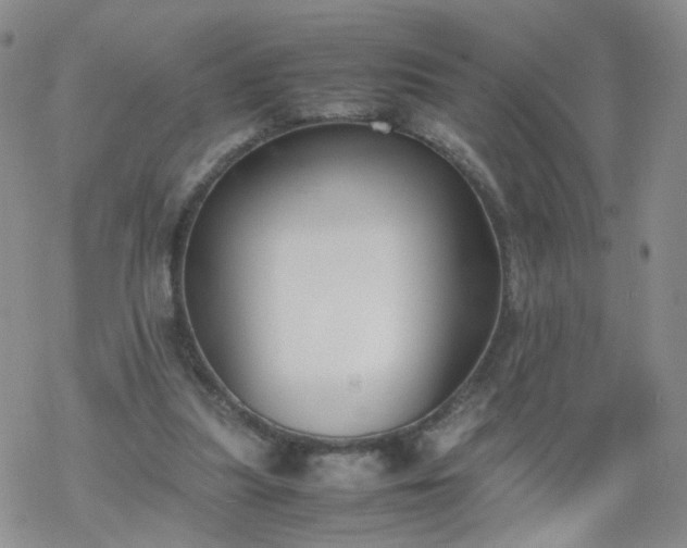 X0000069390251200605192221