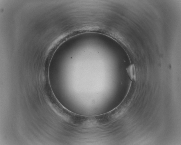 X0000069390252200605192221