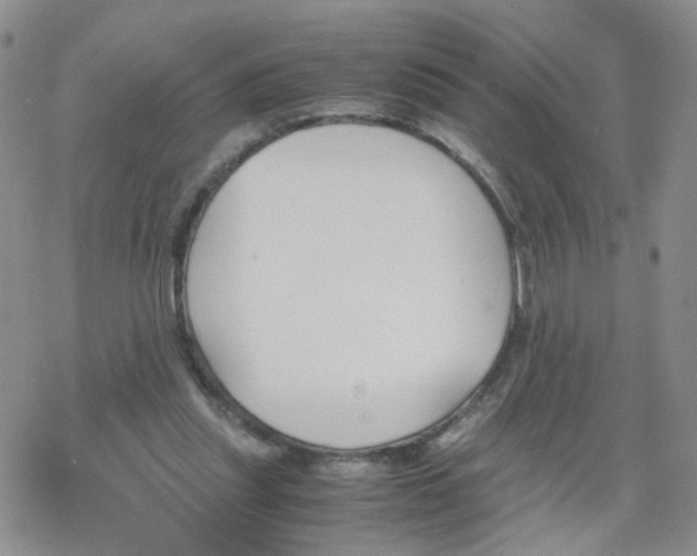 X0000069390253200605192221