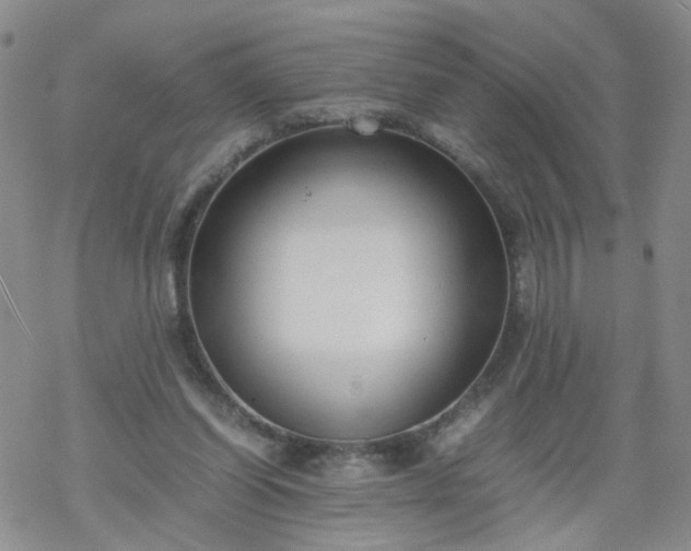 X0000069390254200605192221