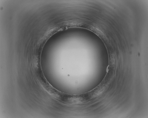 X0000069390255200605192221