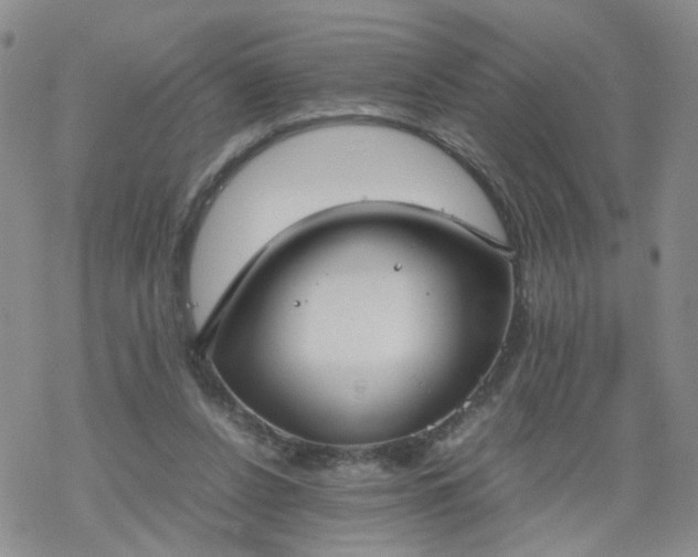 X0000069390256200605192221