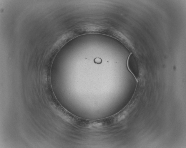 X0000069390257200605192221