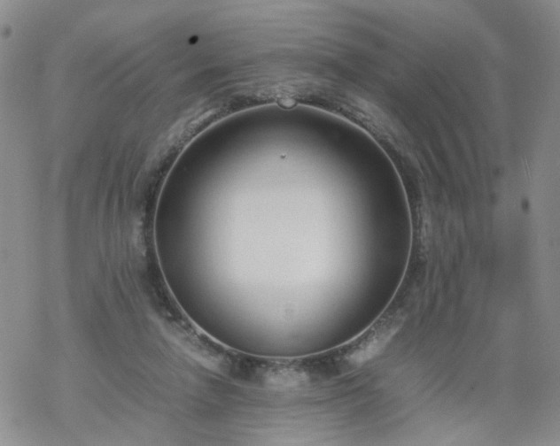 X0000069390258200605192221