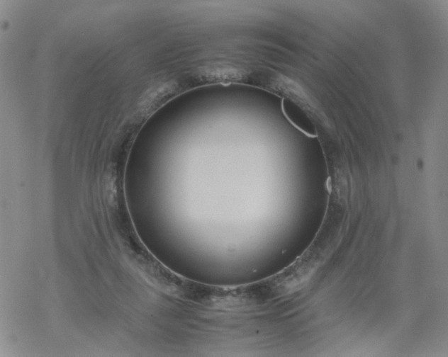 X0000069390259200605192221