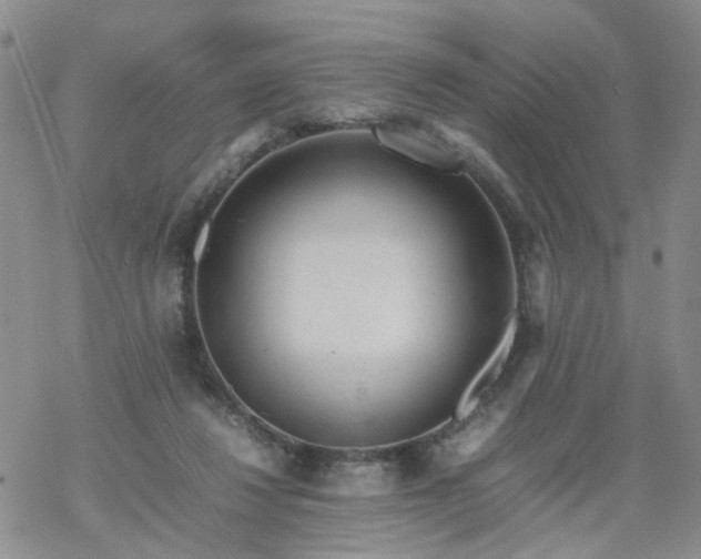 X0000069390260200605192221