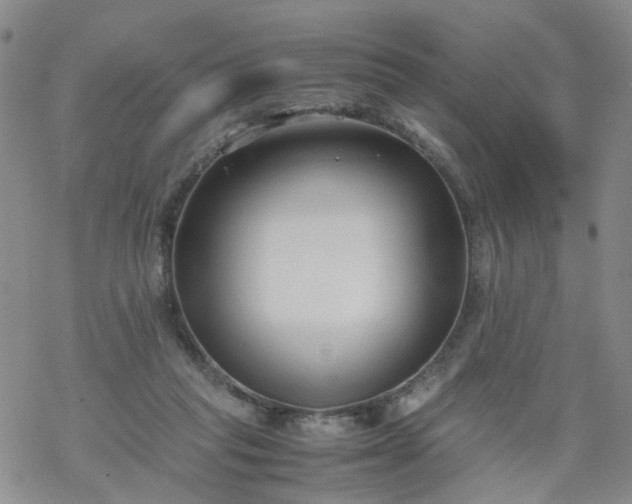 X0000069390261200605192221