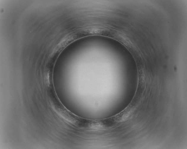 X0000069390262200605192221