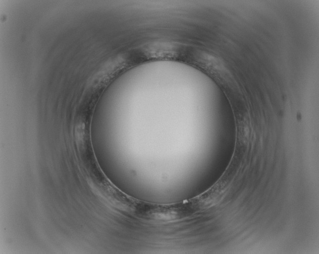 X0000069390263200605192221