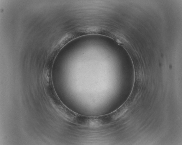 X0000069390264200605192221