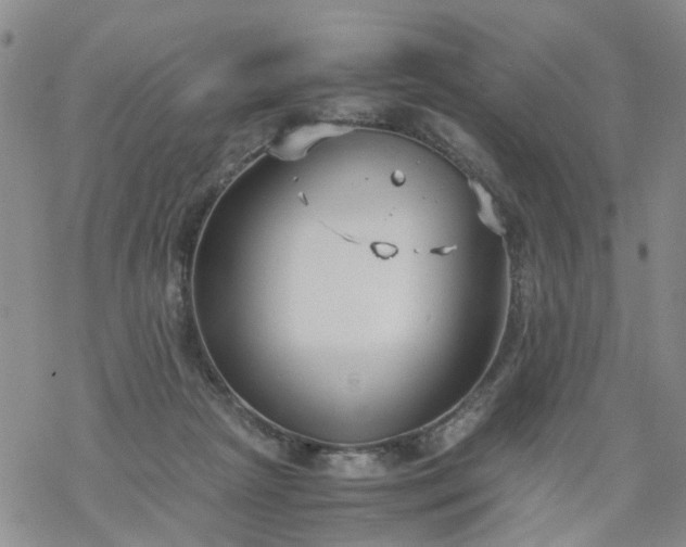 X0000069390265200605192221