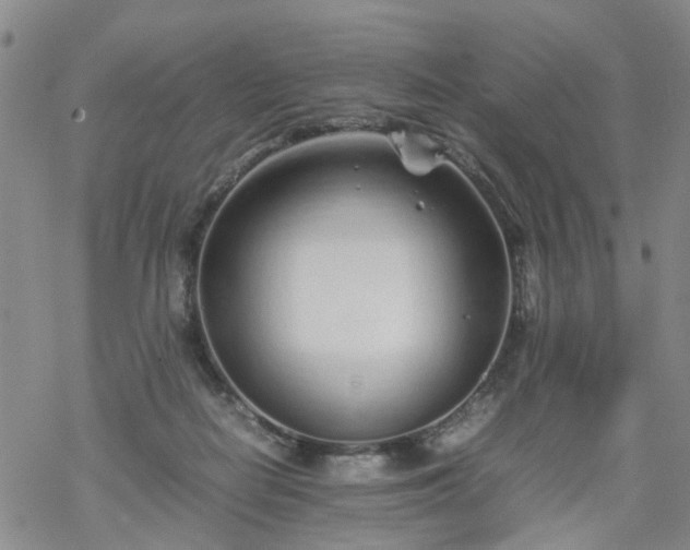 X0000069390266200605192221