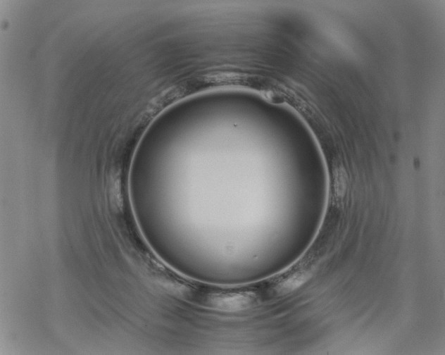 X0000069390267200605192221