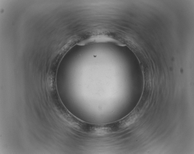 X0000069390268200605192221