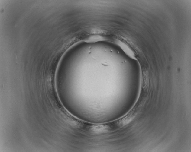 X0000069390269200605192221