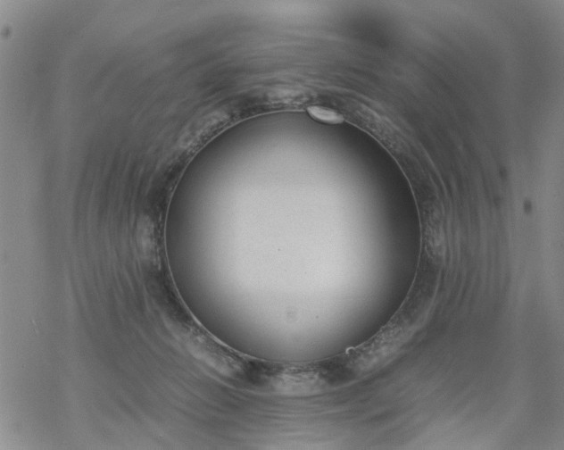 X0000069390270200605192221