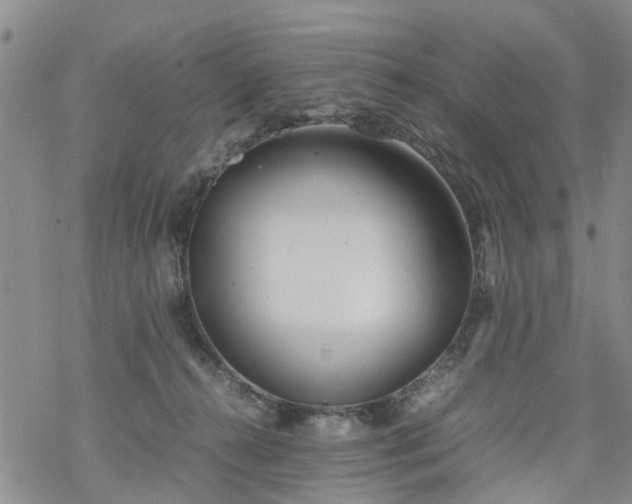 X0000069390272200605192221