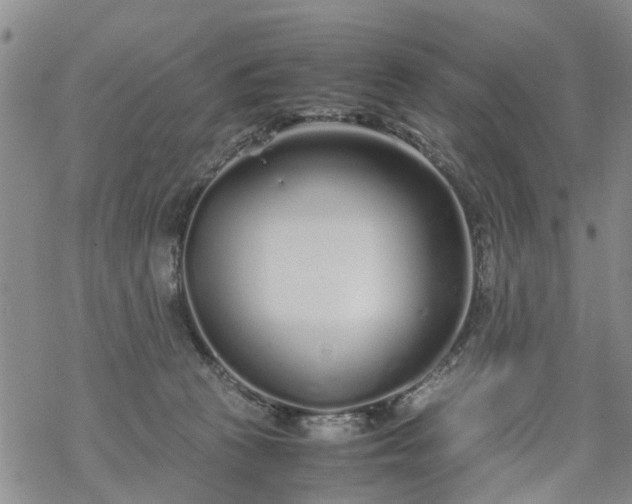 X0000069390273200605192221