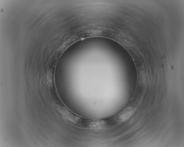 X0000069390274200605192221