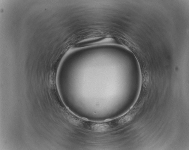 X0000069390277200605192221