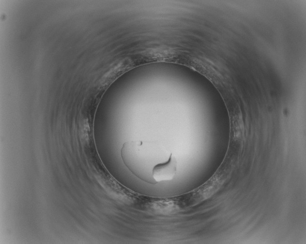 X0000069390279200605192221