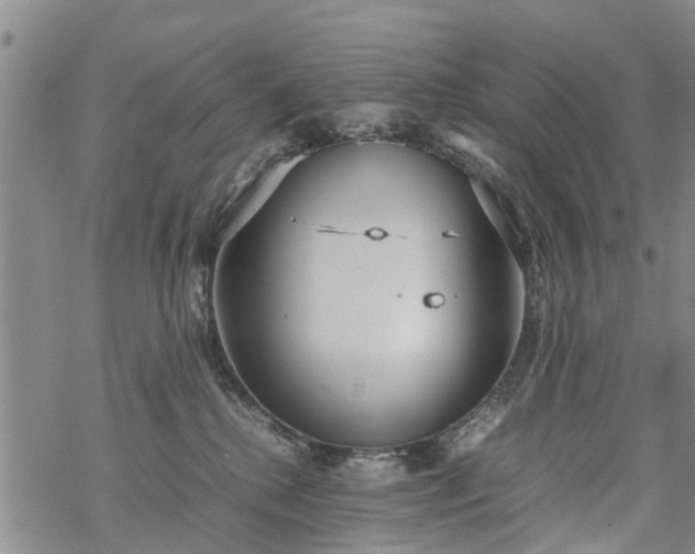 X0000069390280200605192221