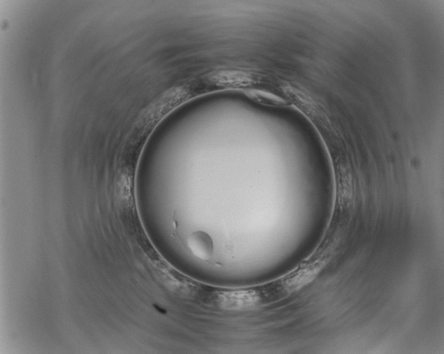 X0000069390281200605192221