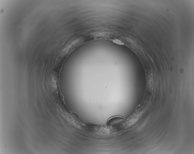 X0000069390282200605192221