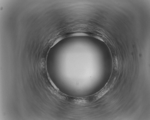 X0000069390284200605192221