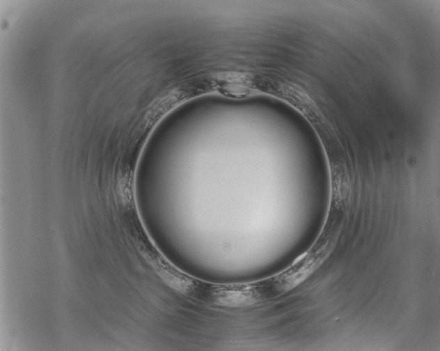 X0000069390285200605192221