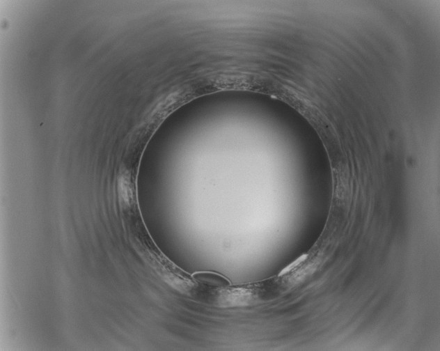 X0000069390287200605192221