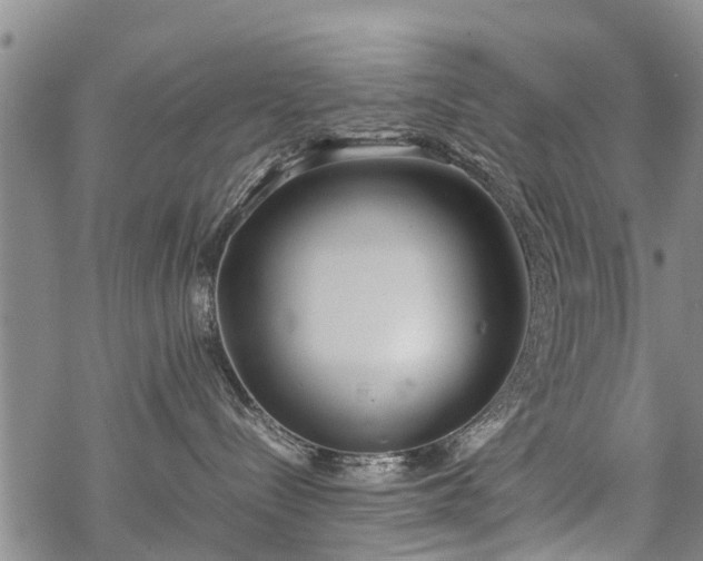 X0000069390288200605192221