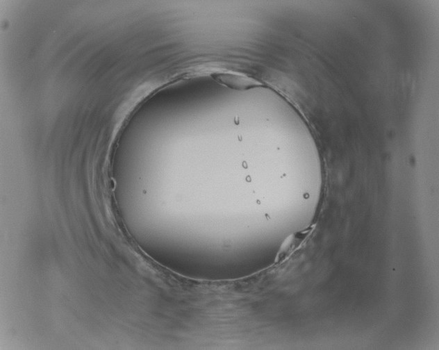 X0000069390289200605192221