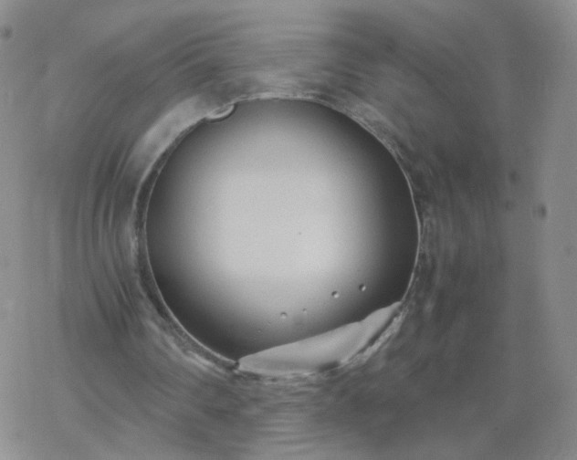 X0000069390290200605192221