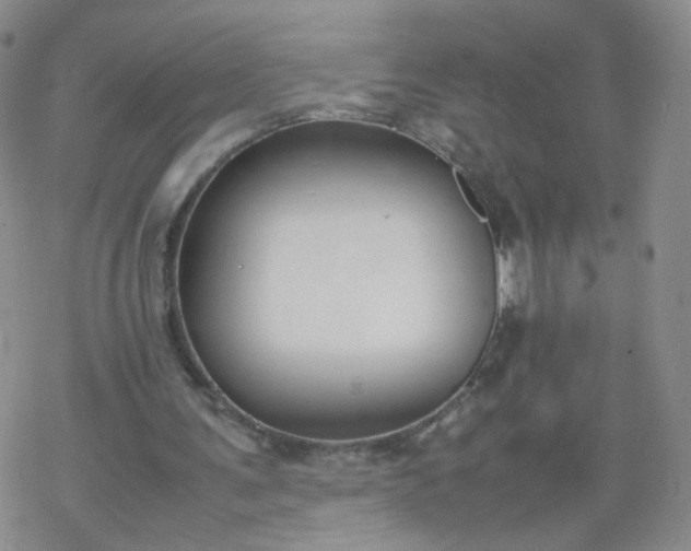 X0000069390291200605192221