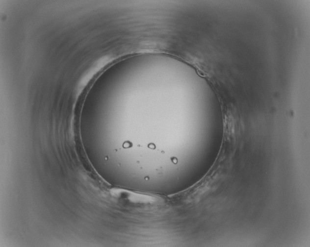 X0000069390292200605192221