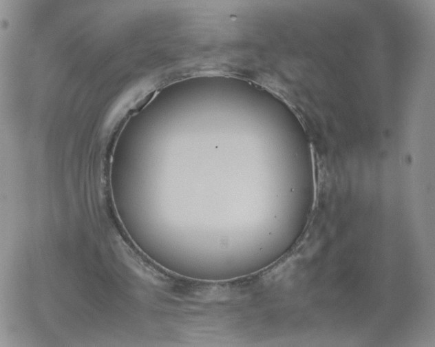 X0000069390293200605192221