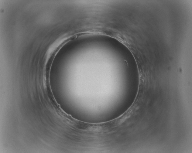 X0000069390294200605192221